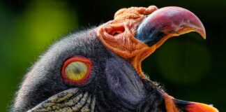 Kiedy należy wymienić membranę osmotyczną?