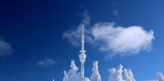 Jak sprawdzić z jakiego nadajnika odbieram sygnał DVB-T?