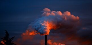 Jaka emisja spalin Euro?